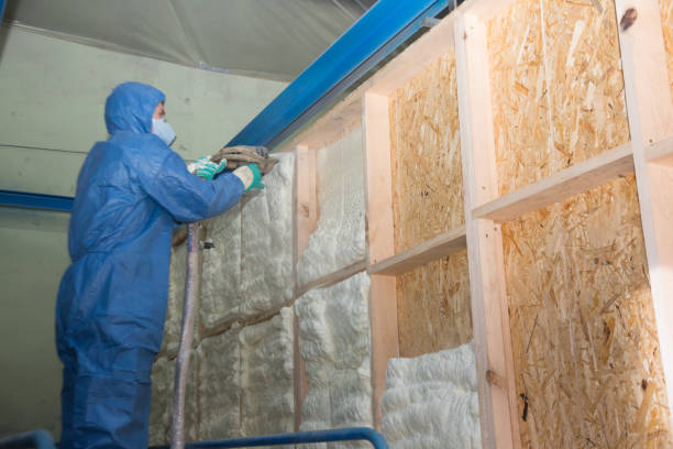 Best Insulation Replacement Services  in Wray, CO